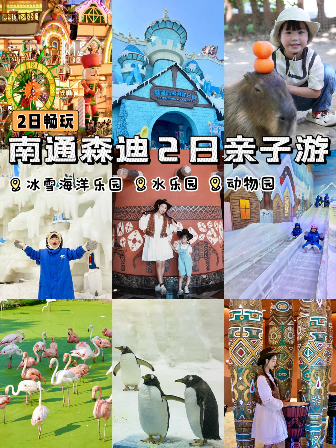 一站式避暑遛娃天花板‼️路线➕表演全攻略get