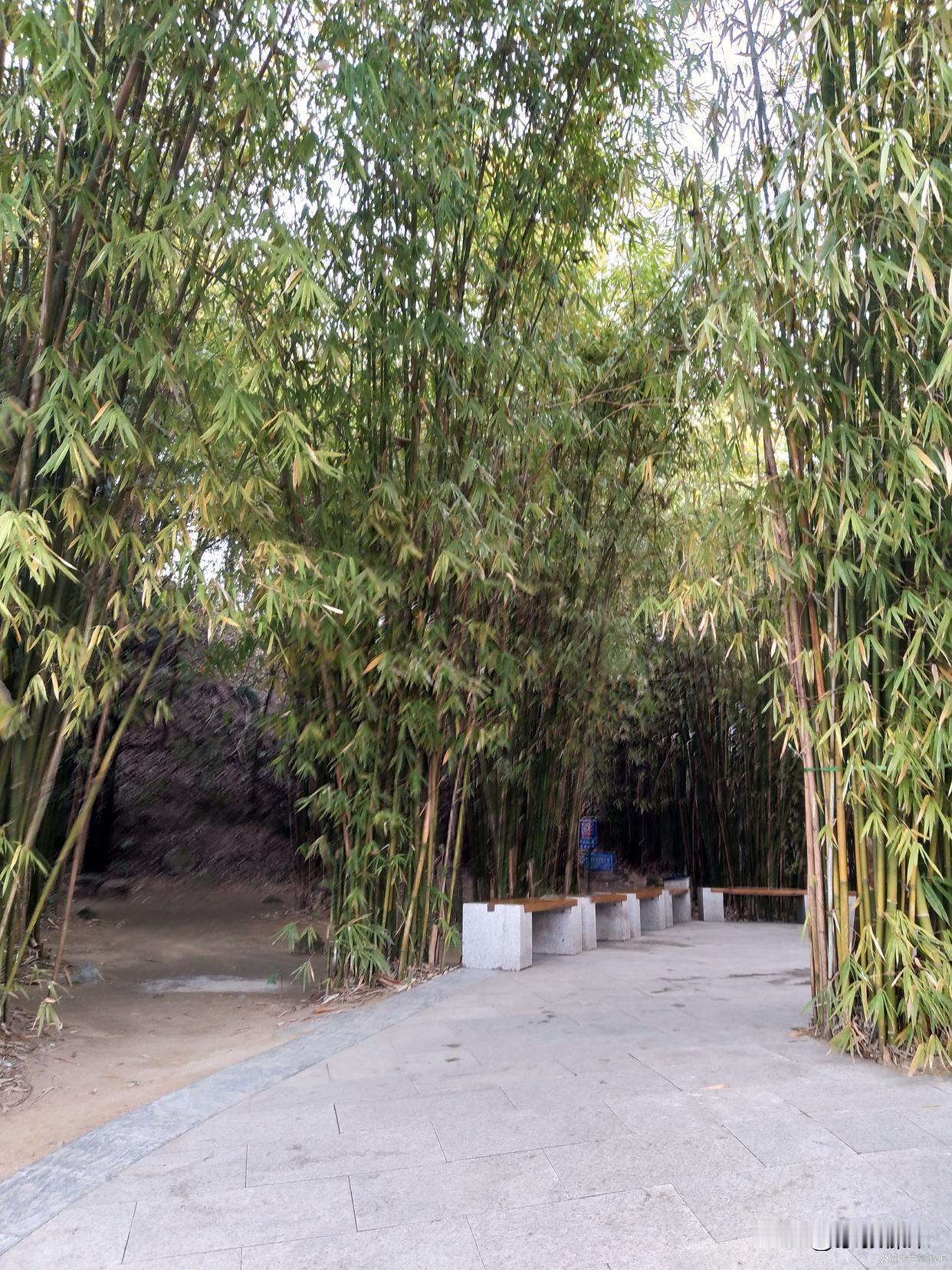 小孩叔叔56岁了，住他母亲房子。每天在家里穿着大裤衩，光着背，肚子又大又圆。关键