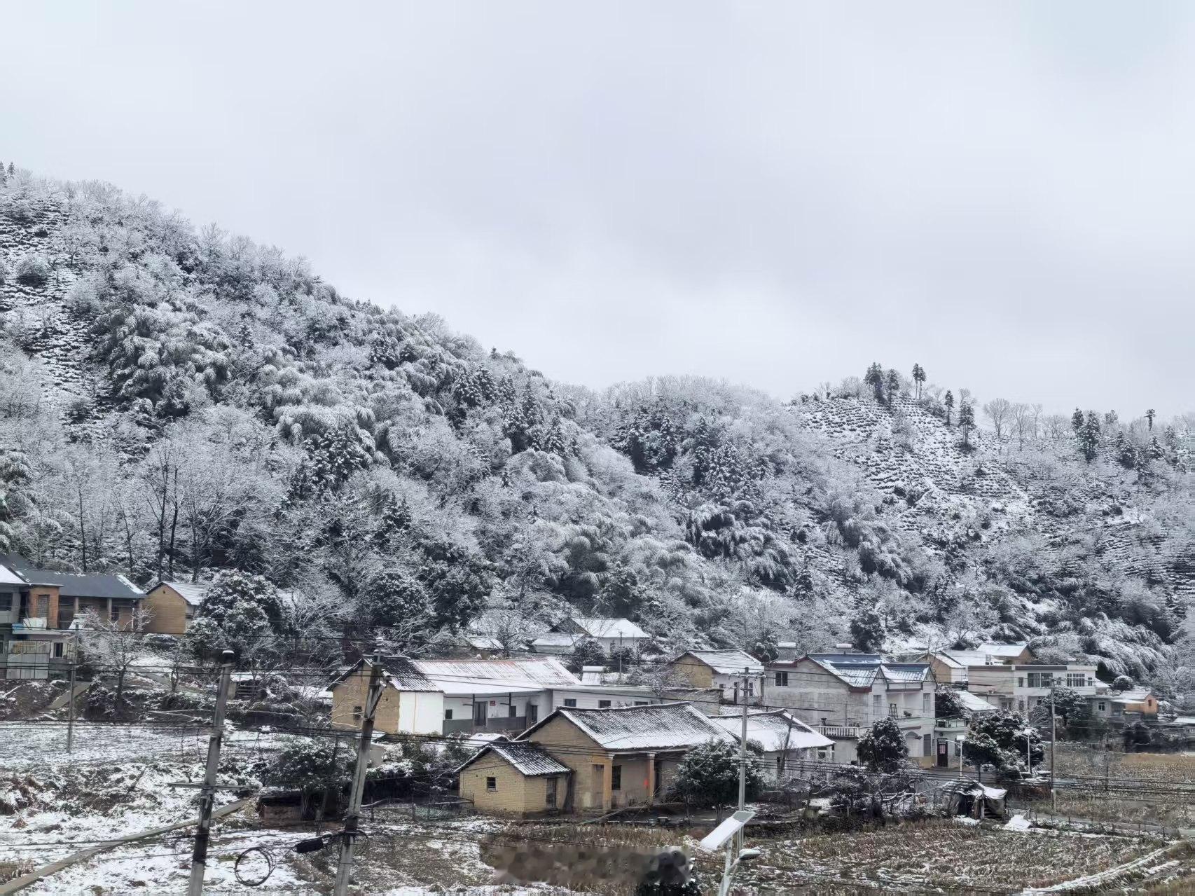 元旦假期大家都安排了出行计划吗？配图是工作室小伙伴坐高铁拍的雪景❄️ 