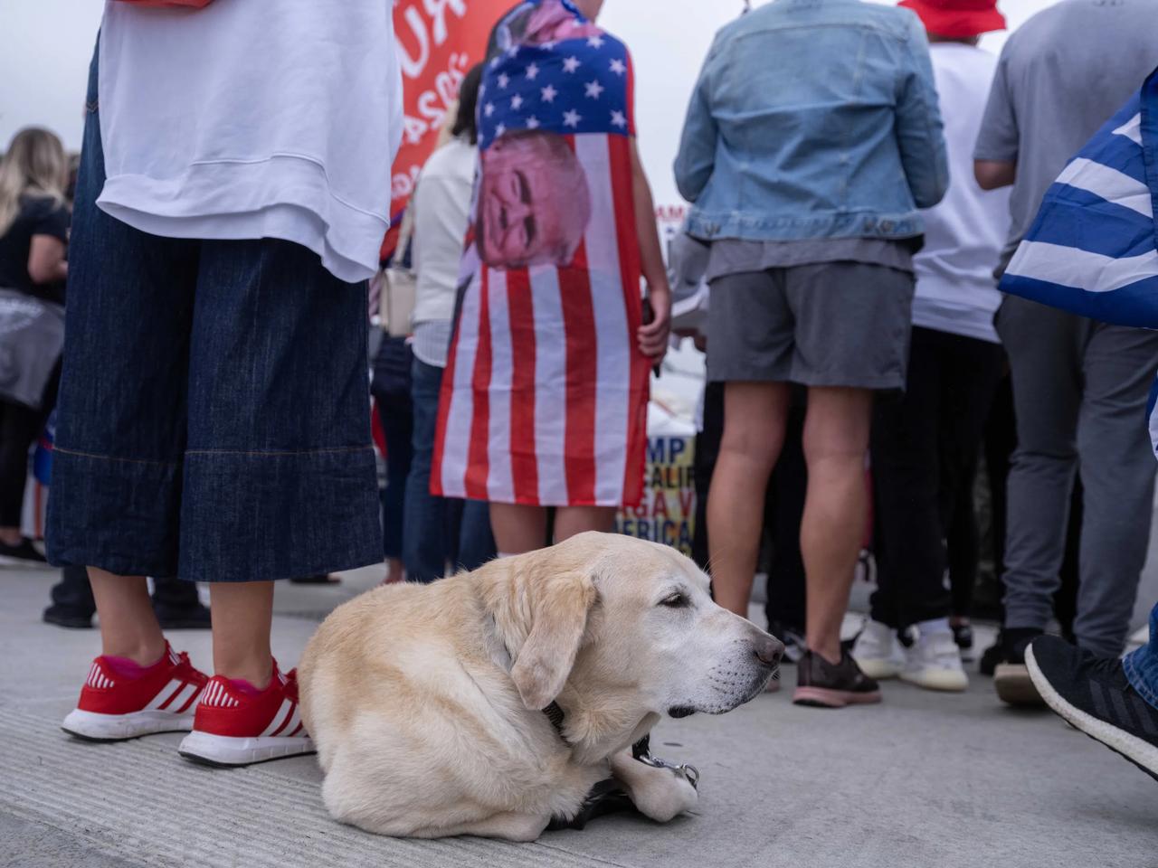 《等待特朗普》：2024年6月8日，美国加利福尼亚州洛杉矶Newport，唐纳德