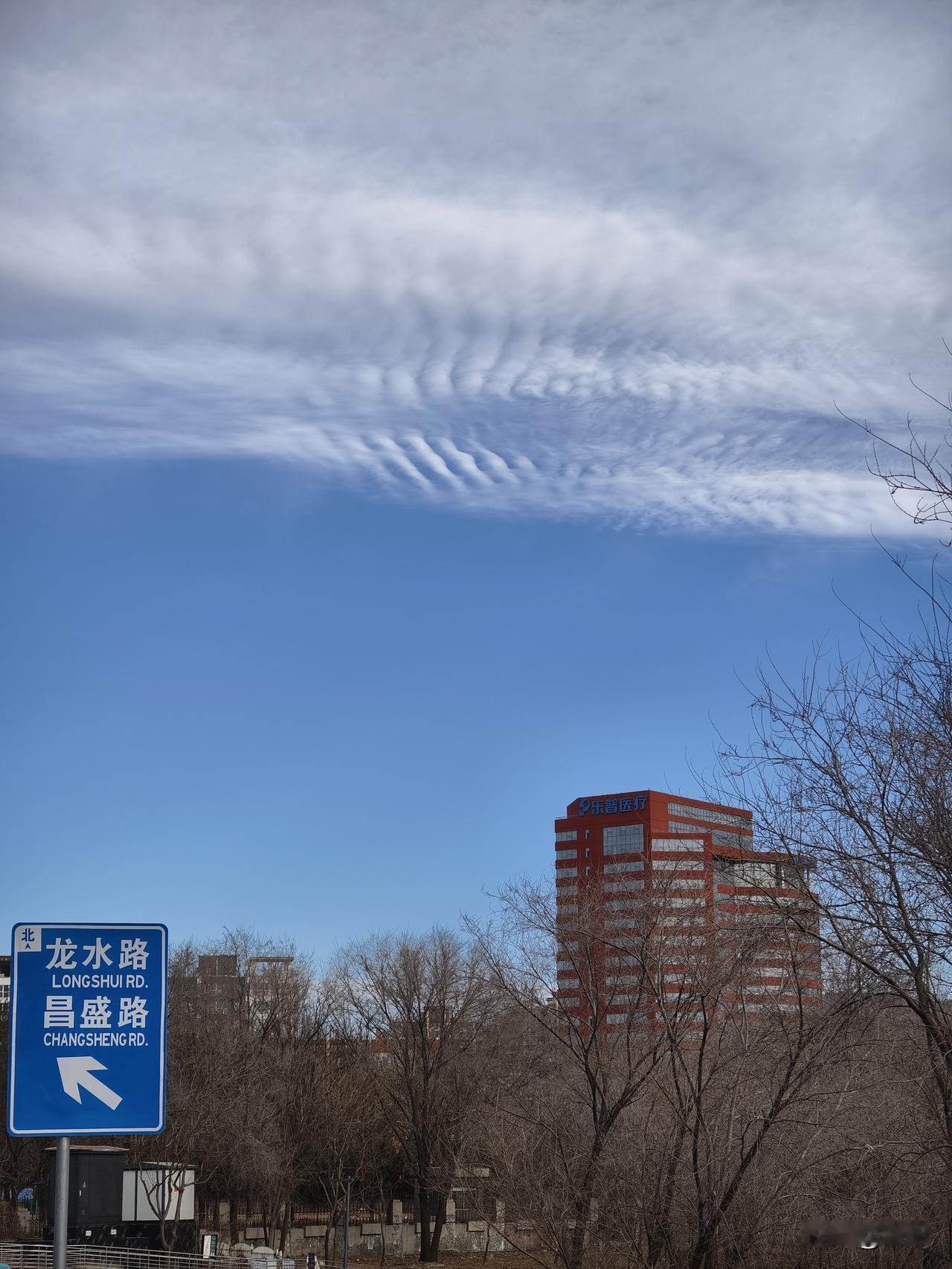 分享一张最近随手拍的照片