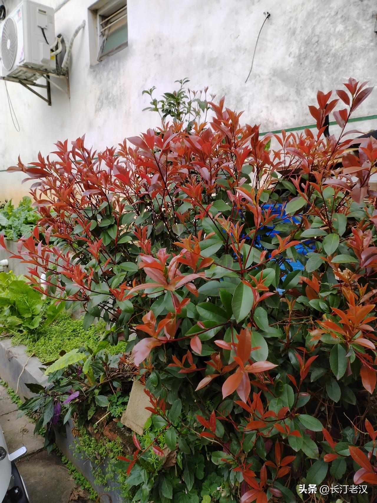 有首歌唱得好，三分天注定，七分靠打拼，这是为了告诉人们爱拼才会赢的道理，打拼的比