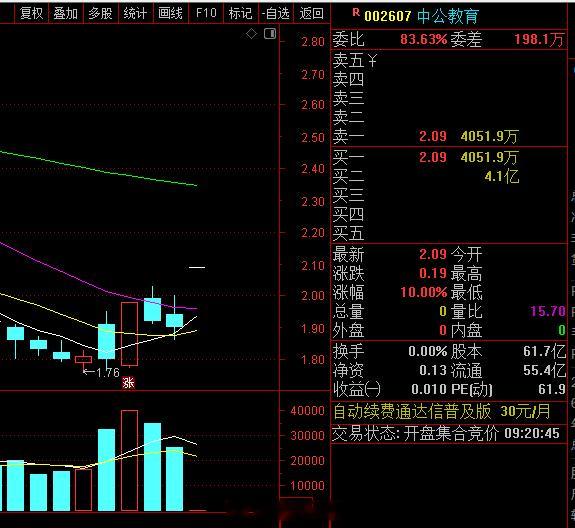 中公教育涨停，美女发帖，威力不小