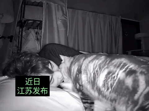 终于知道男人为啥都喜欢养猫了，养猫像养个女朋友一样，猫咪半夜舔正在睡觉的主人的嘴