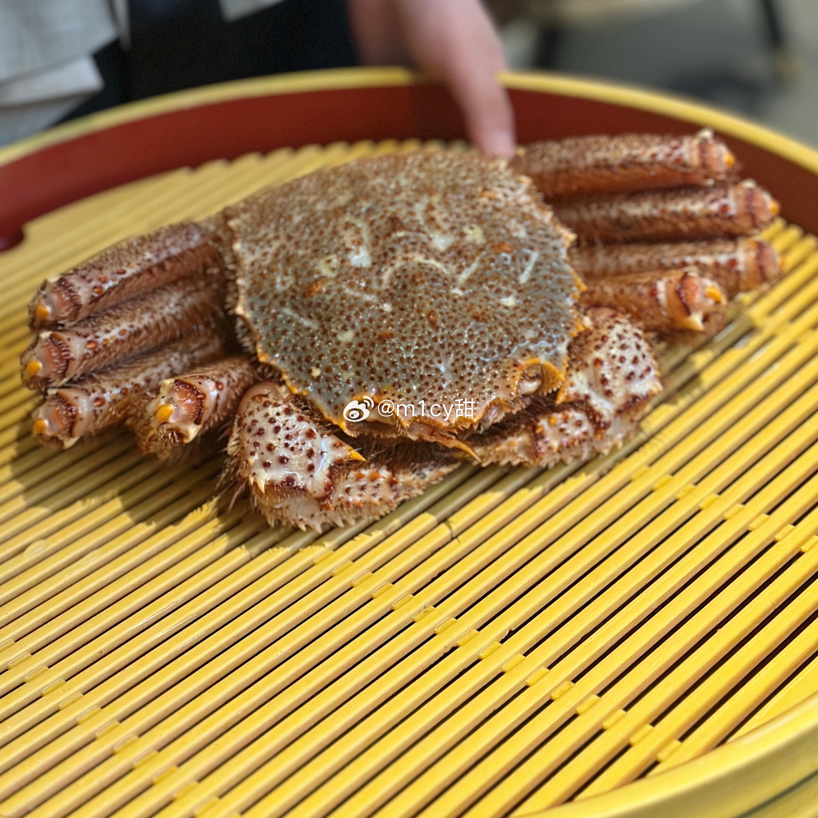 2024 幸福继续🌟🥰 ​​​
