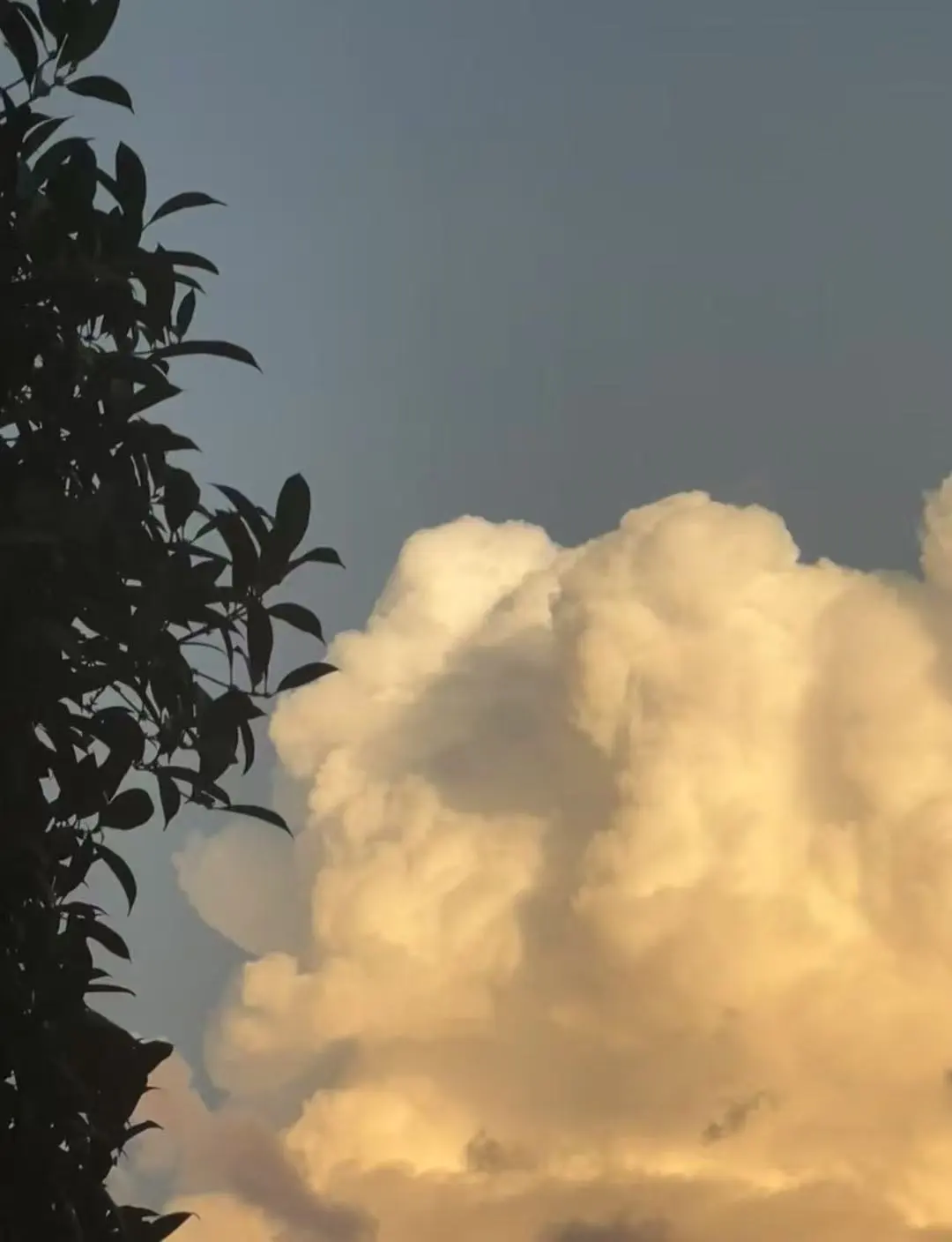 那片云飘过来了