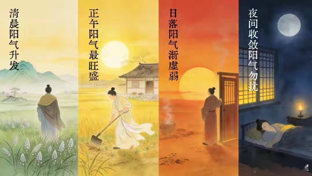 重用一味鸡血藤，巧治顽固性失眠 血虚便秘 阑尾炎 面瘫等4种疑难症从事中医临床这