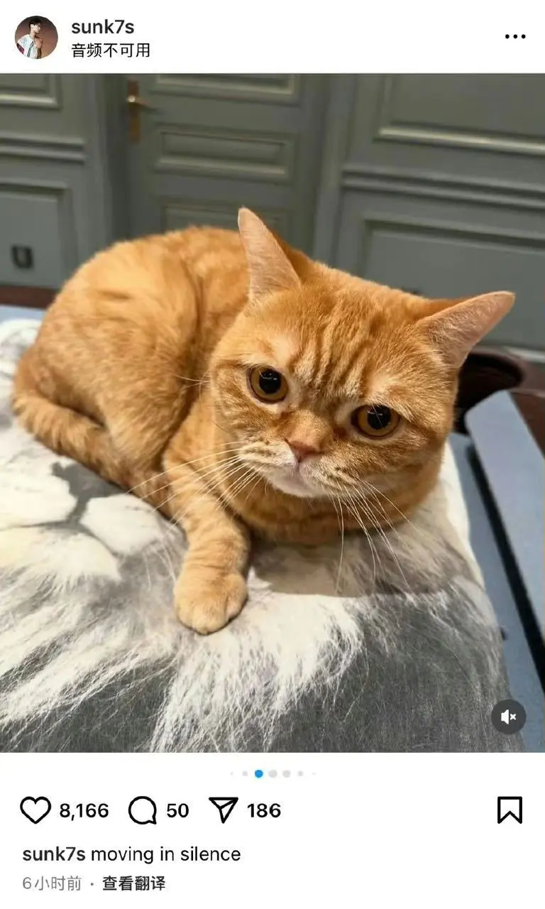 是黄儿！ 比心怪什么时候又偷偷混鹿晗家了🍋