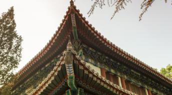有些学校看着低调，其实实力硬核得很。今天咱们就来聊聊新疆农业大学。
网上总有人瞎