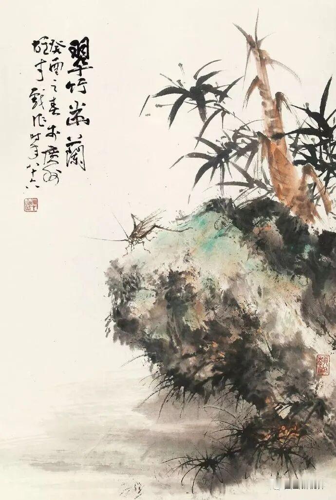随手拍花草。