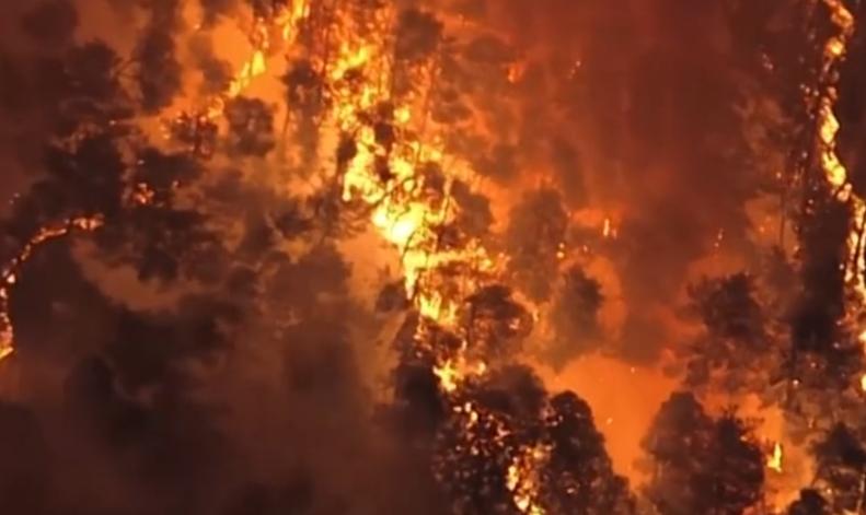 以色列总理内塔尼亚胡的患癌消息由其办公室官方确认，日本岩手县的山火则在持续燃烧中