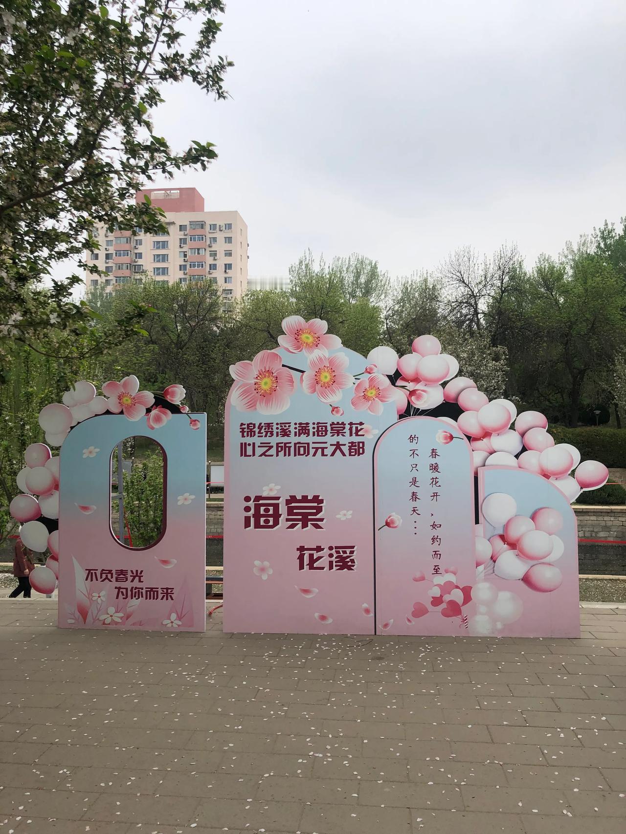 #手机随拍#海棠花溪#北京元大都遗址公园海棠花#