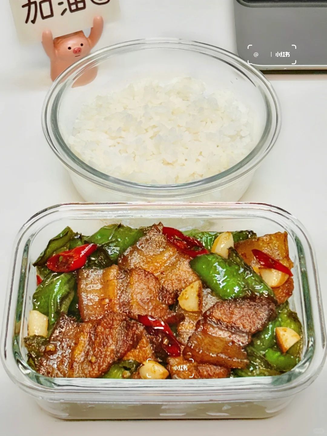 上班带饭丨10元💰带饭吃什么？