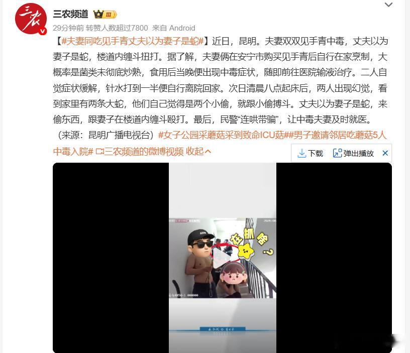 夫妻同吃见手青丈夫以为妻子是蛇 什么鬼。。。这时候男人不应该以为他老婆是耶伦吗？