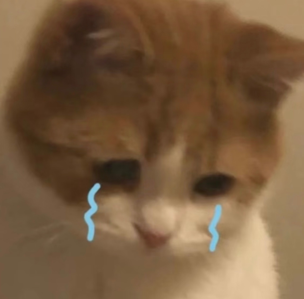 调理不好了。。。 ​​​