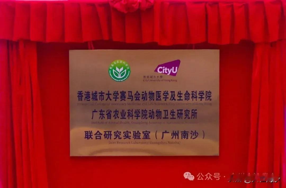 继港科大之后，香港城市大学也来南沙了！不过这次主攻的不是高科技，而是兽医方向。香