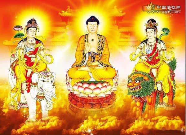 【净业三福】  净宗修学以净业三福为基础。净业三福分别为：第一福：孝养父母，奉事