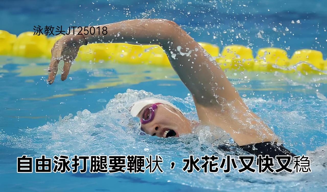 泳教头 | 泳讲堂：自由泳打腿要鞭状，水花小又快又稳
很多泳友游自由泳时总觉得累