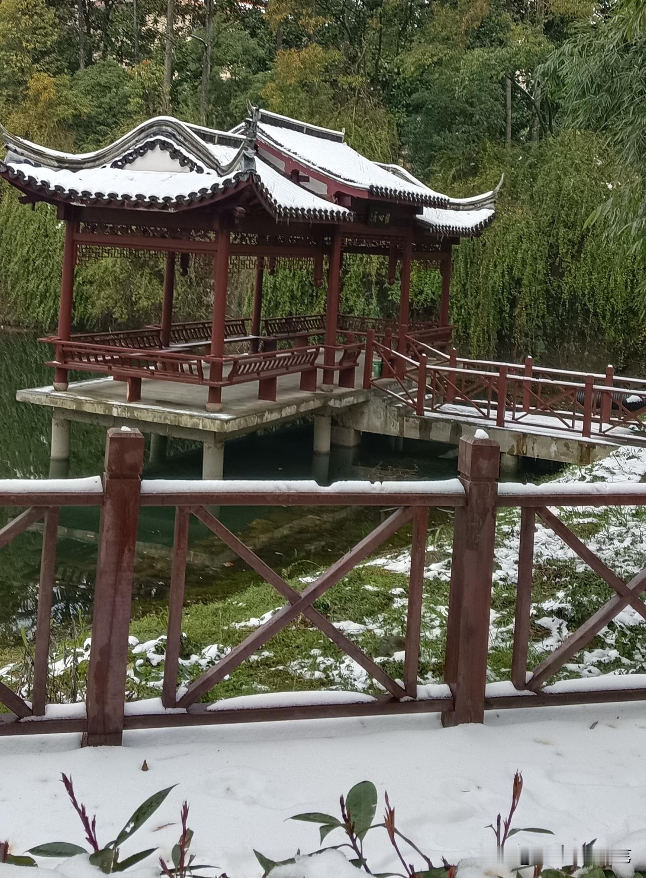 安徽下霰了！冬天掉的不只是雪，4种固态降水一次分清
 
宝子们快看！安徽下霰刷屏