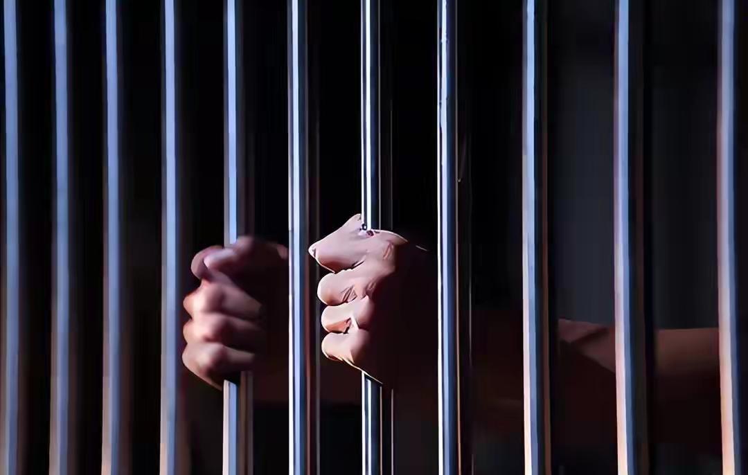 自由对于我们普通人来说，从来就没有感到珍贵。但是，当你失去自由时，才会知道它的重