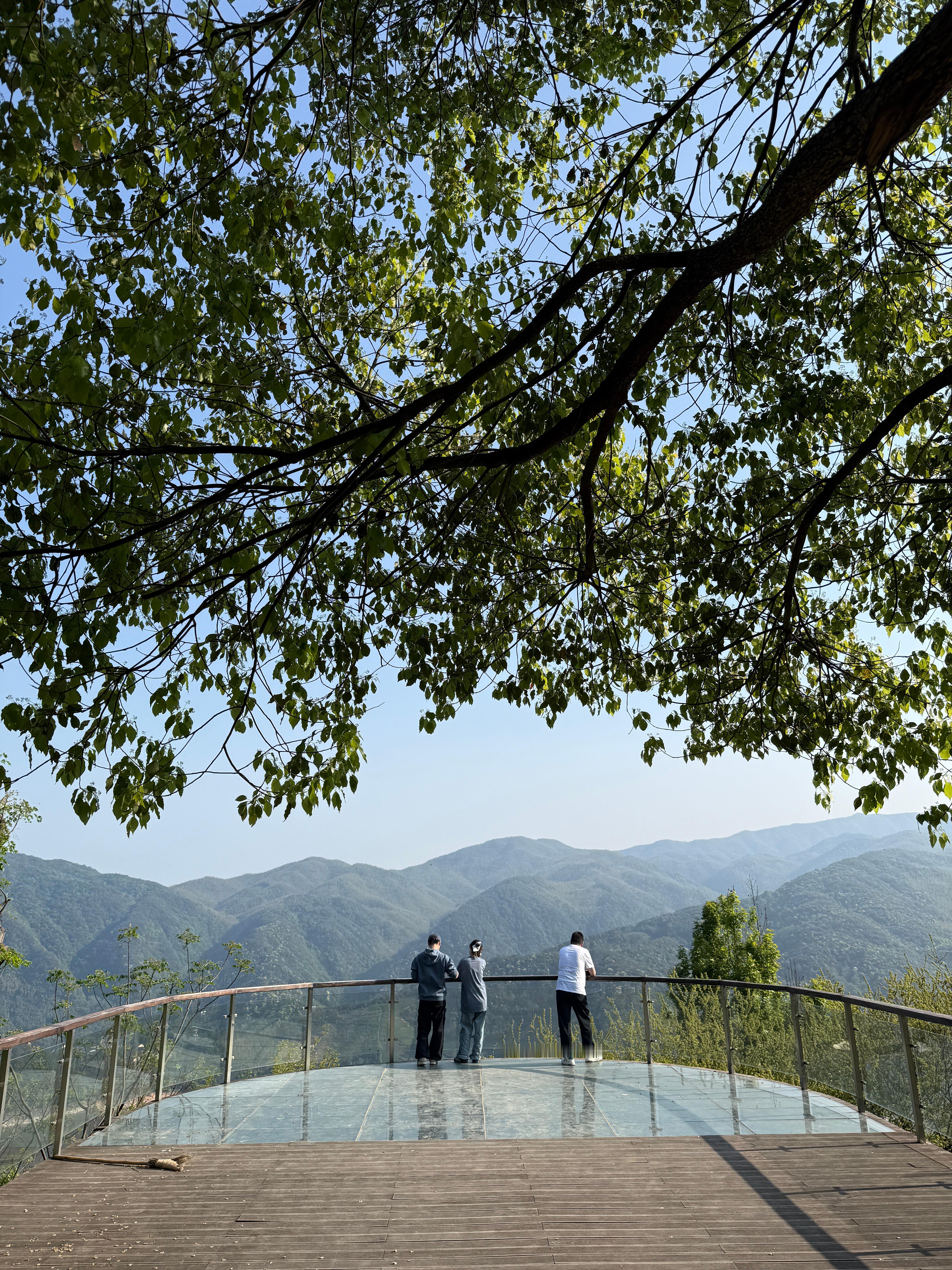 今天天气好晴朗！来同安寺跑山一路上春意盎然！山上有个财神庙，只能长跪不起了