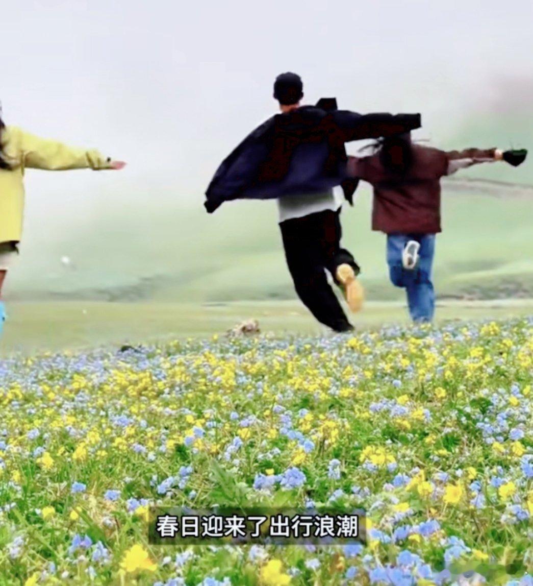 大码打工人出行暗备轻松好物呵护每一处关节。髌骨带减轻膝盖压力，手套防手掌磨伤。衣