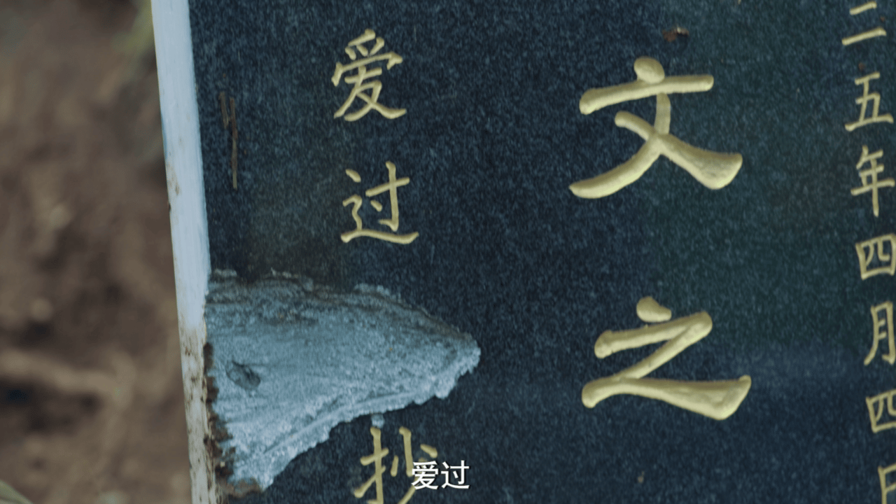 囧徒之预演告别定档0831🎬田嘉瑞新剧五秒电了贾冰三次 爱看癫剧的天亮了，这个