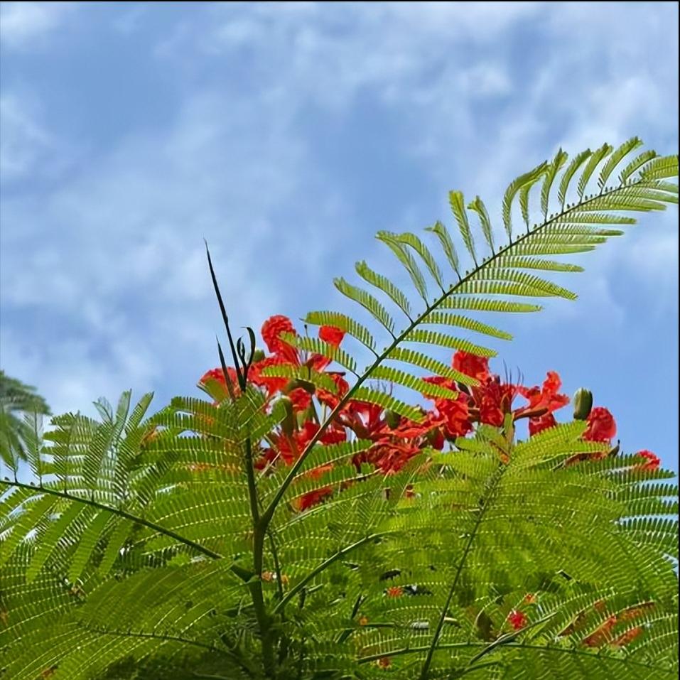 张力履新商务部新职
 
12月3日，张力履新职。
 
该同志曾在7月14日国新办