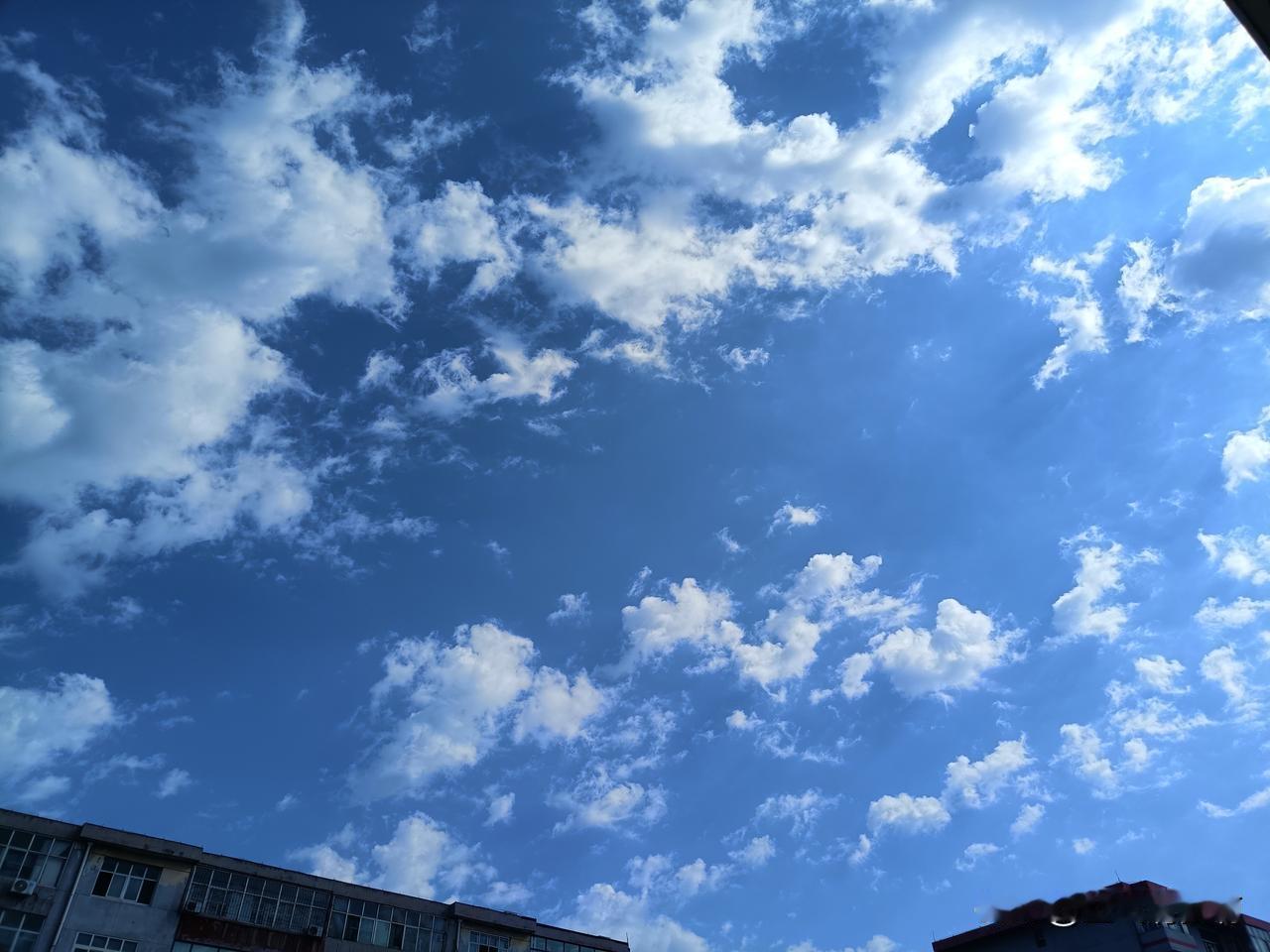 今有机会开了一下高级一点的自动档车，上去就把我弄懵了，一片按钮和多功能方向盘，找