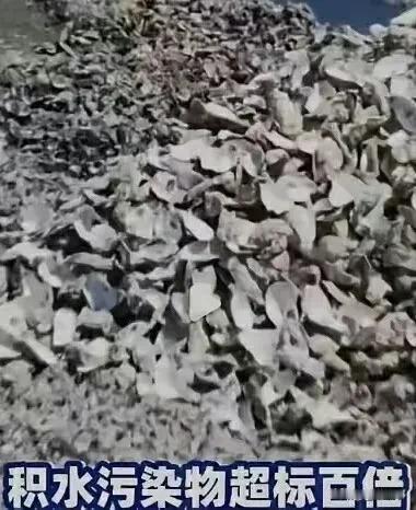 第三轮第六批中央生态环境保护督察2日发布典型案例

通报广东肇庆市、潮州市固体废