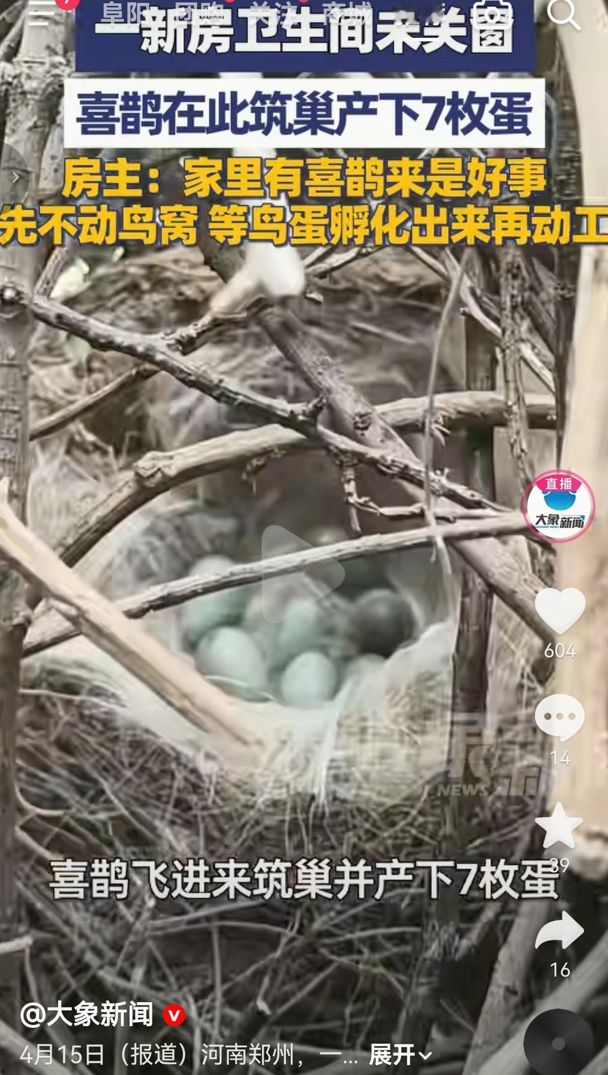 近日，河南郑州一套正在装修的新房里，发生了一件超暖心的事。

装修工人夏先生上门