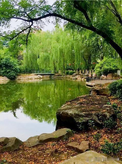 别把“我还能撑”当本事，把“我懂得照顾自己”才叫清醒。