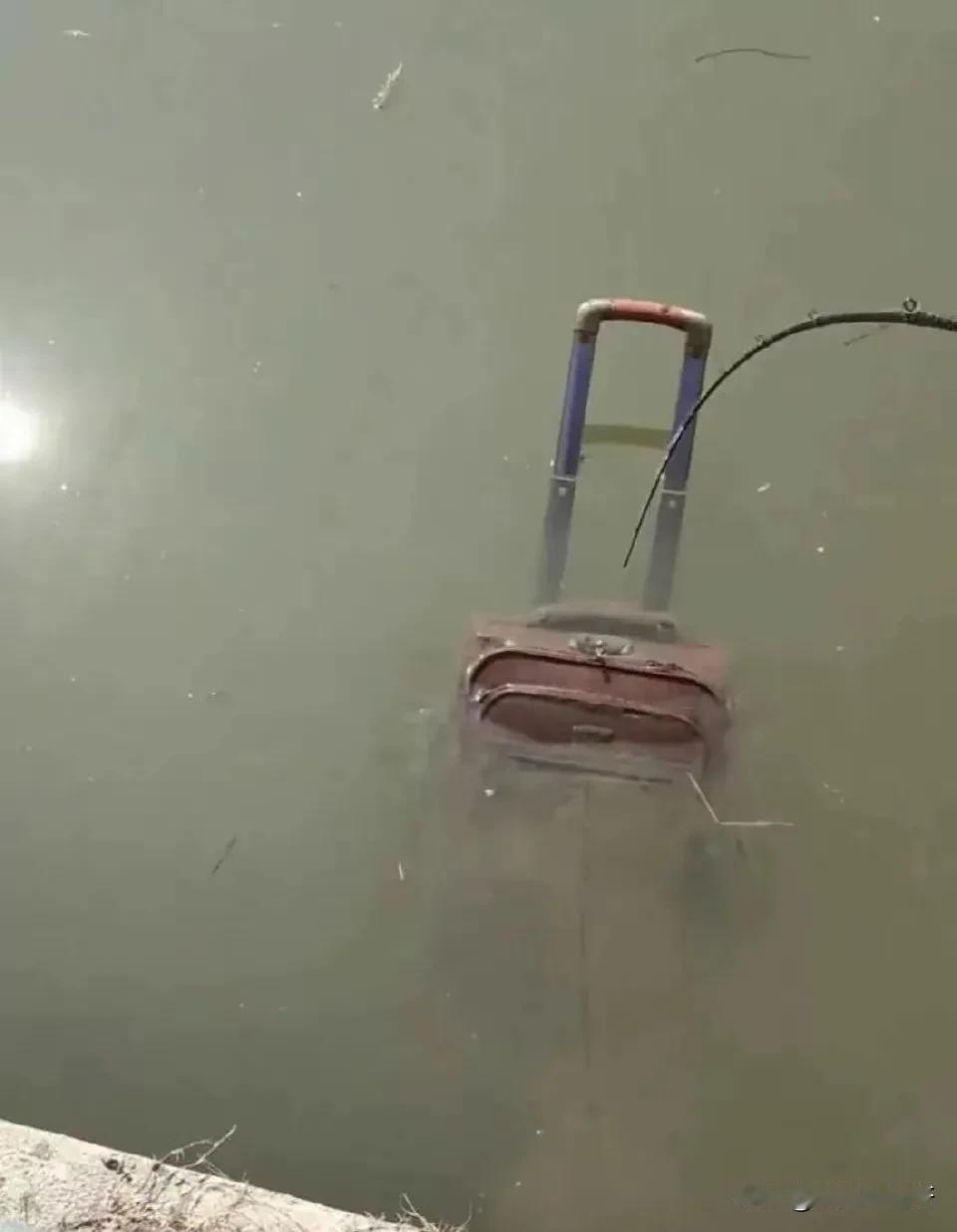 钓鱼遇到这种情况怎么办？