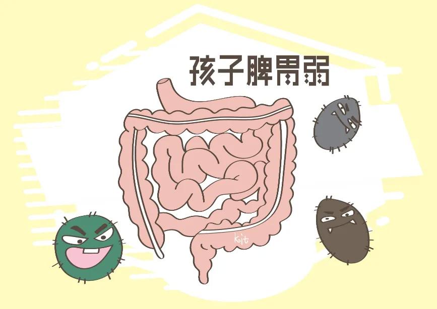 养脾胃注意这4点，脾胃越来越好。分享一些关于养脾胃的小知识。做到以下4点，脾胃才