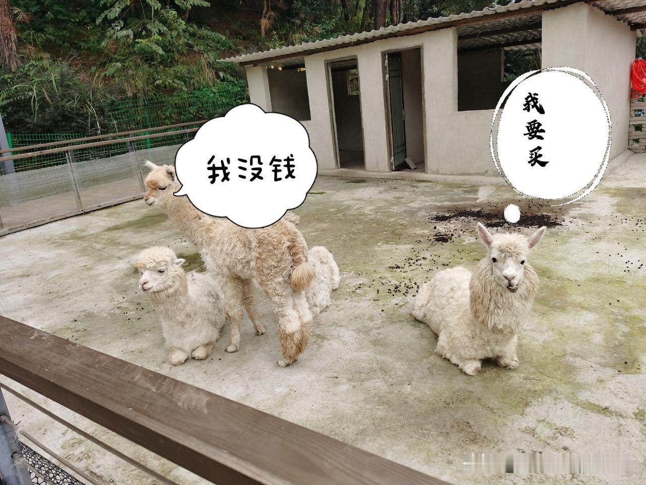 现在过日子想要存下钱
就必须学会拒绝这三种不必要消费
1、冲动网购
看见优惠就下