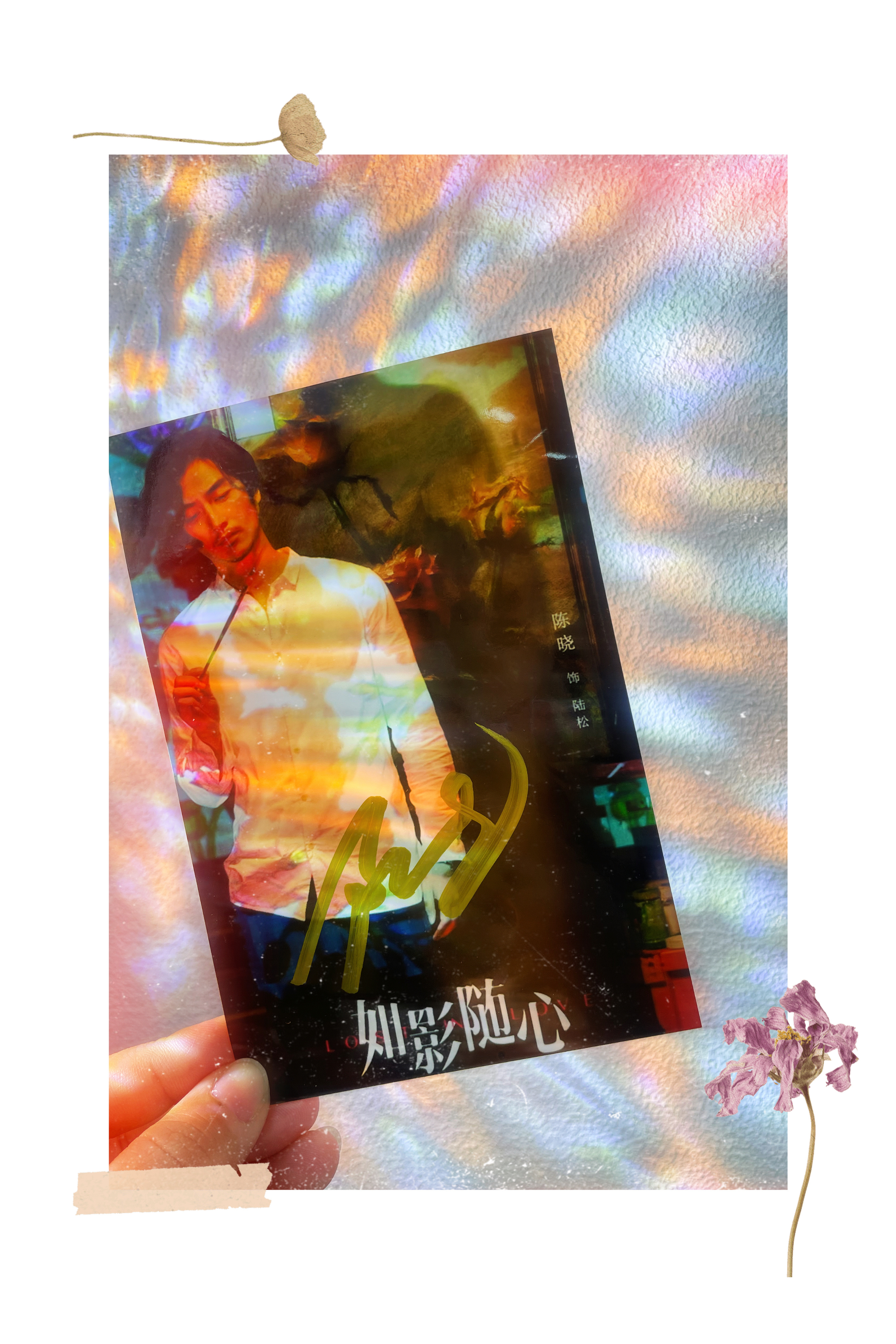 陈晓云襄传之将进酒  cx  陈晓成都活动  晒一下我的白月光[比耶] 陆松签名