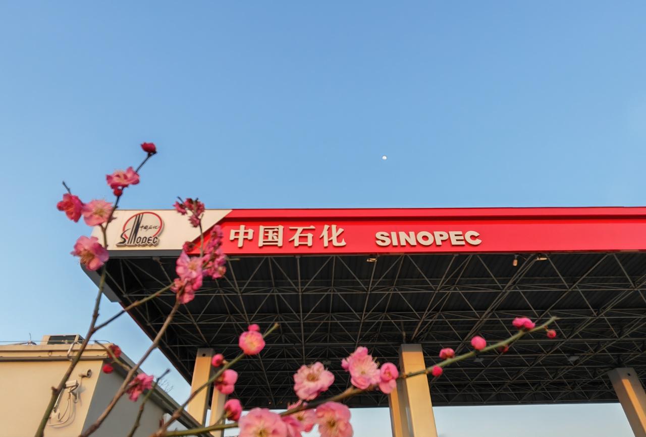 这次会涨得有点多，周末去加个油？
加满一箱油预计多花19.5元