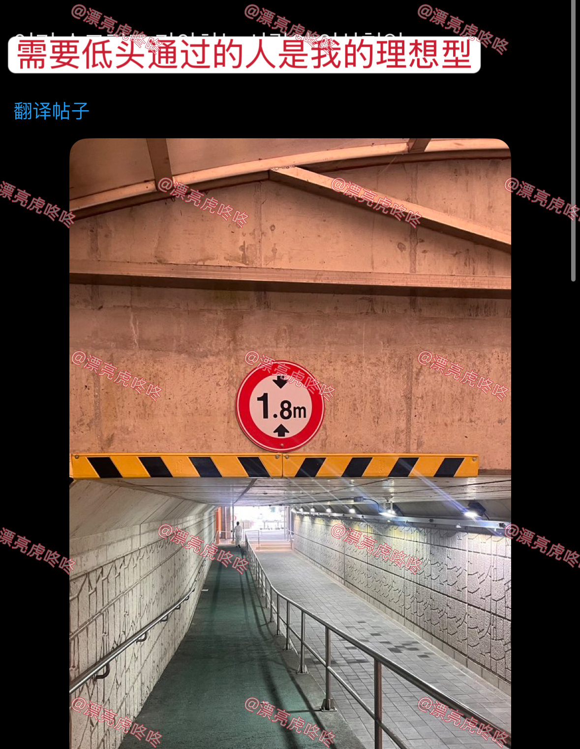 【twi】需要低头通过的人是我的理想型 ​​​