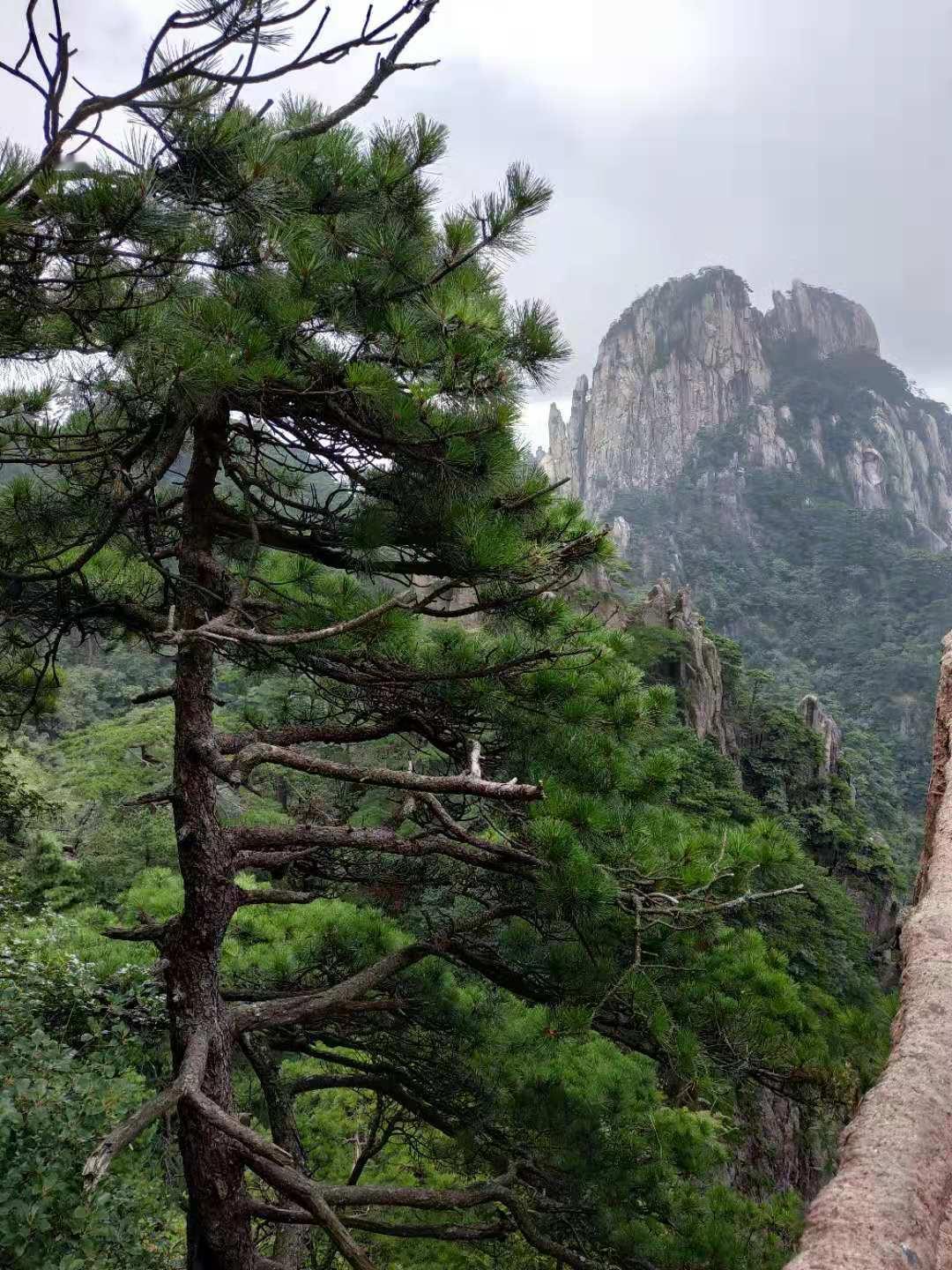 退休了，要把准备吃药的钱，花在旅游上，哈哈哈

前几天带着洛阳旅游年票，到平顶山