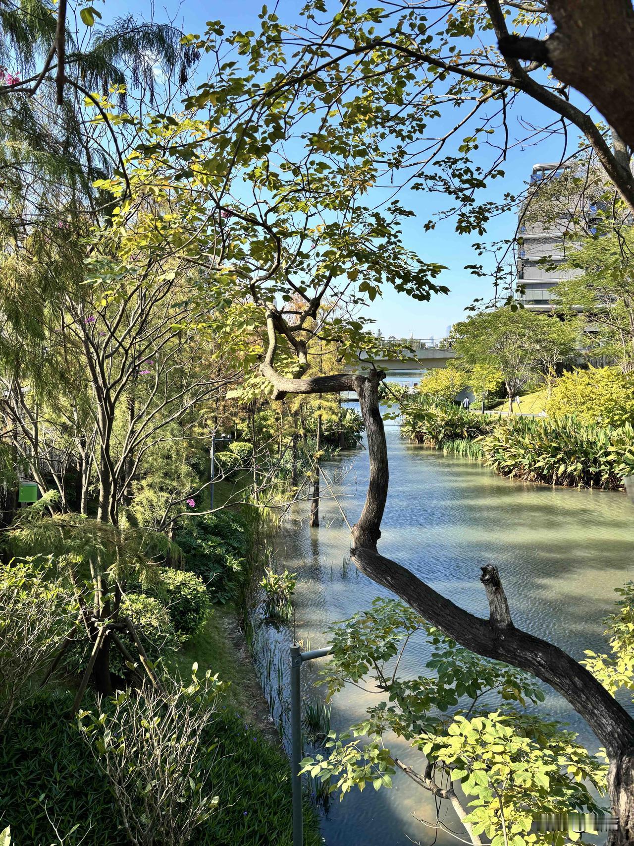 玄学提醒：最强的转运方式，是学会【拒绝】

频率是会传染的。 陪人抱怨并不会改变