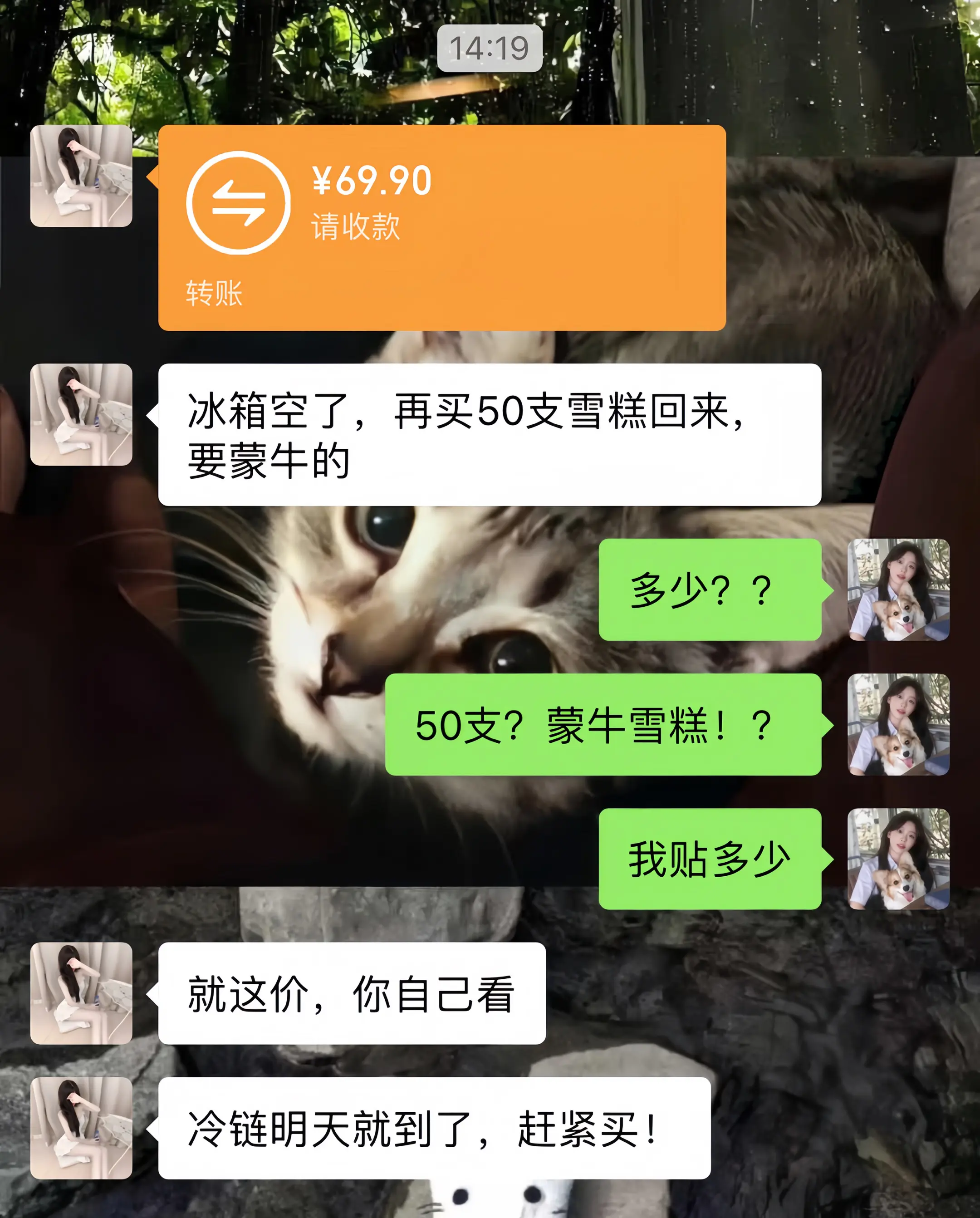 蒙牛雪糕 雪糕 超便宜超划算 蒙牛冰淇淋 薅羊毛的快乐