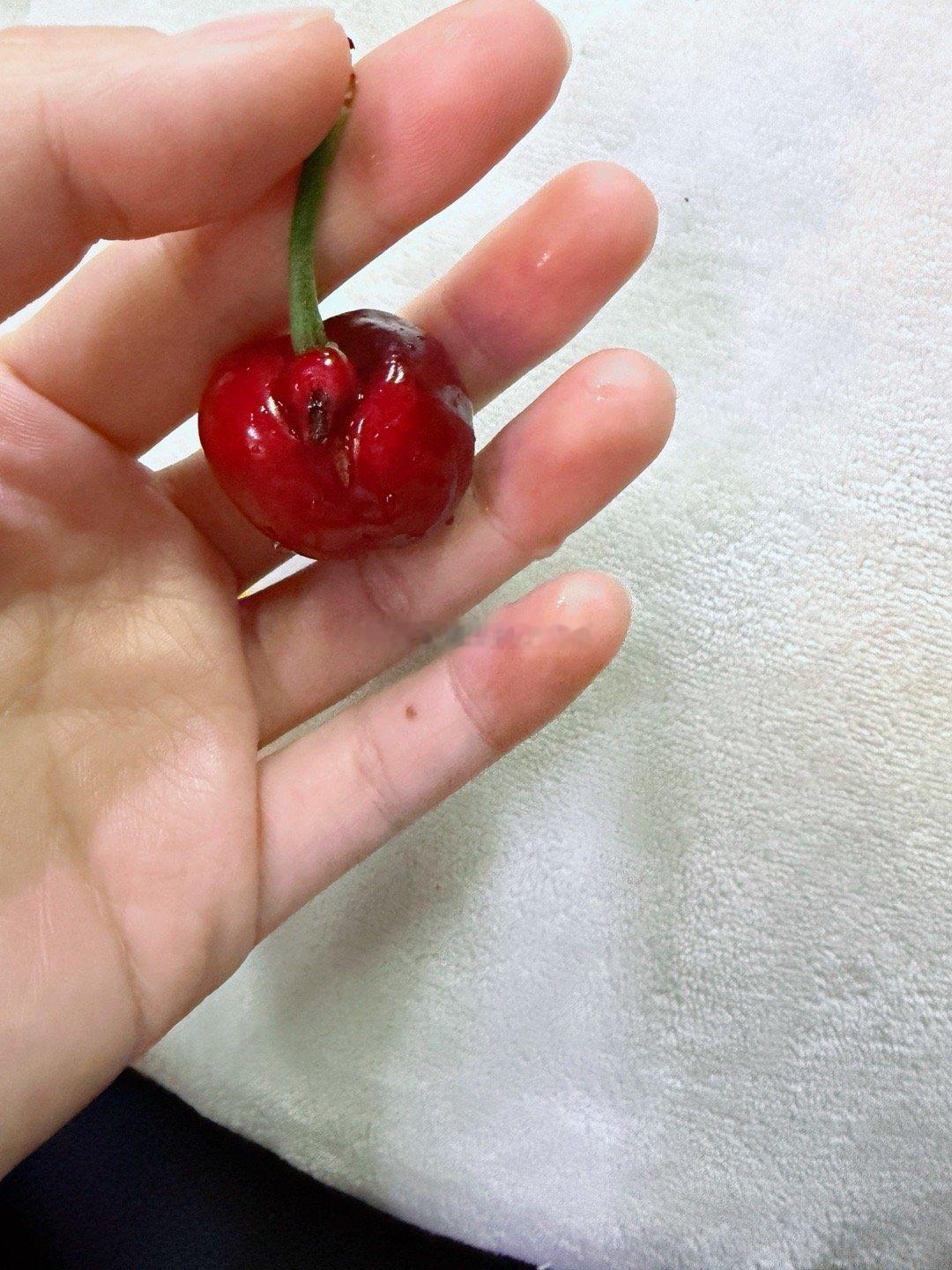 小樱桃🍒，你有什么想法吗