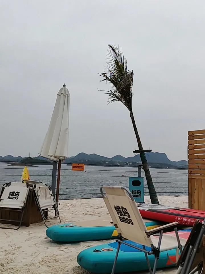 候鸟，等候的鸟，也可以是冬去春来的鸟🐦。
我们做投资也应该像候鸟一样，要有等候