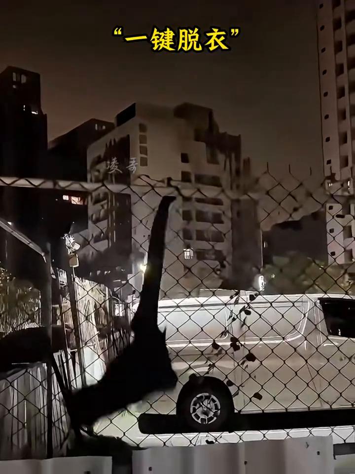 ·天上掉馅饼，突然的袭击，这什么玩意？足球的复仇。
·高空坠落，一切都这么巧，腿