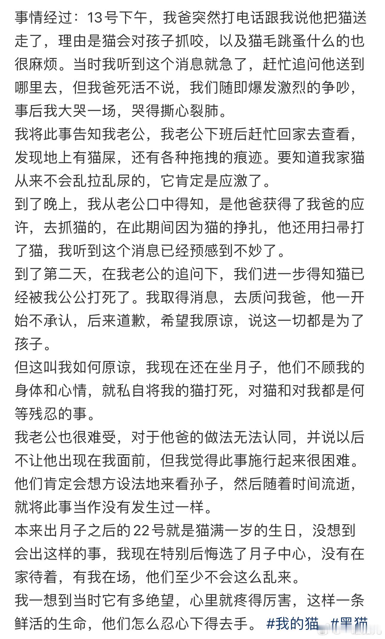 我的猫被公公打死了 ​​​