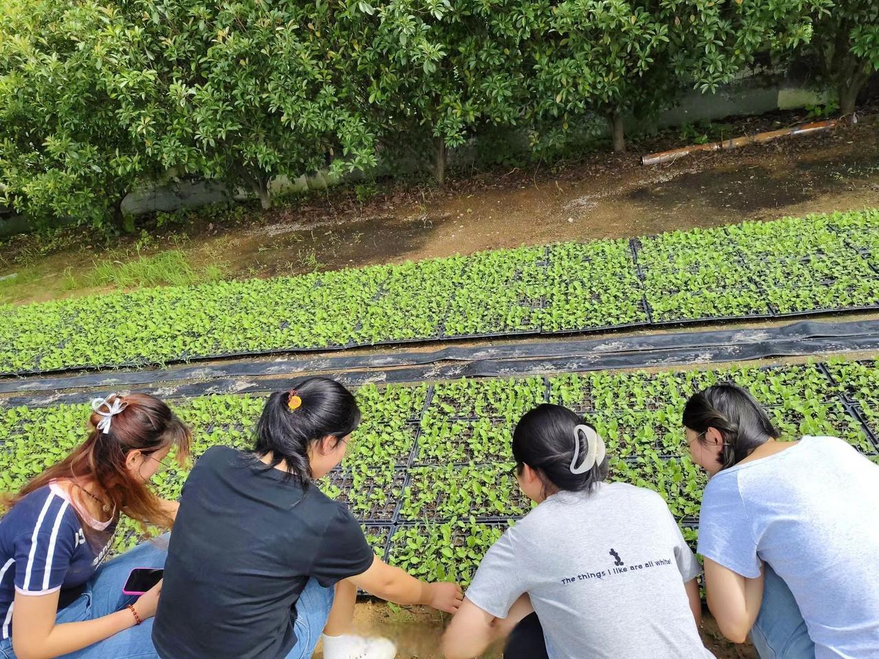 这段时间跟着作者加速成长计划扎进深社会实践，才发现抓热点从来不是蹭流量喊空口号，