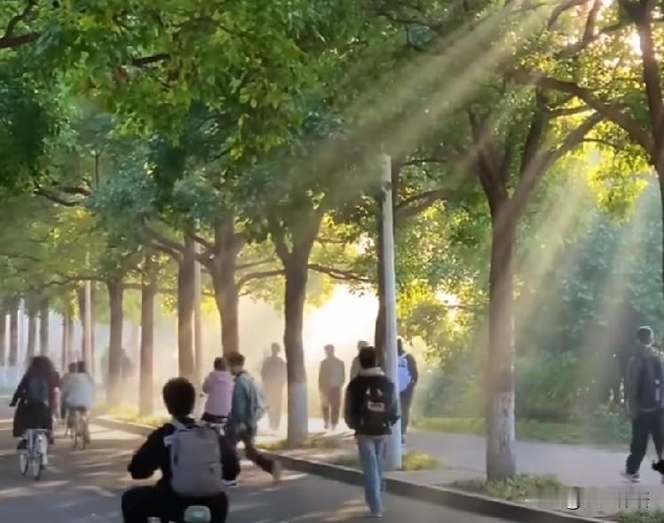 上半年生活感悟

岁月匆匆，时不我待，转眼，2026年已经过去半年了。

回望自