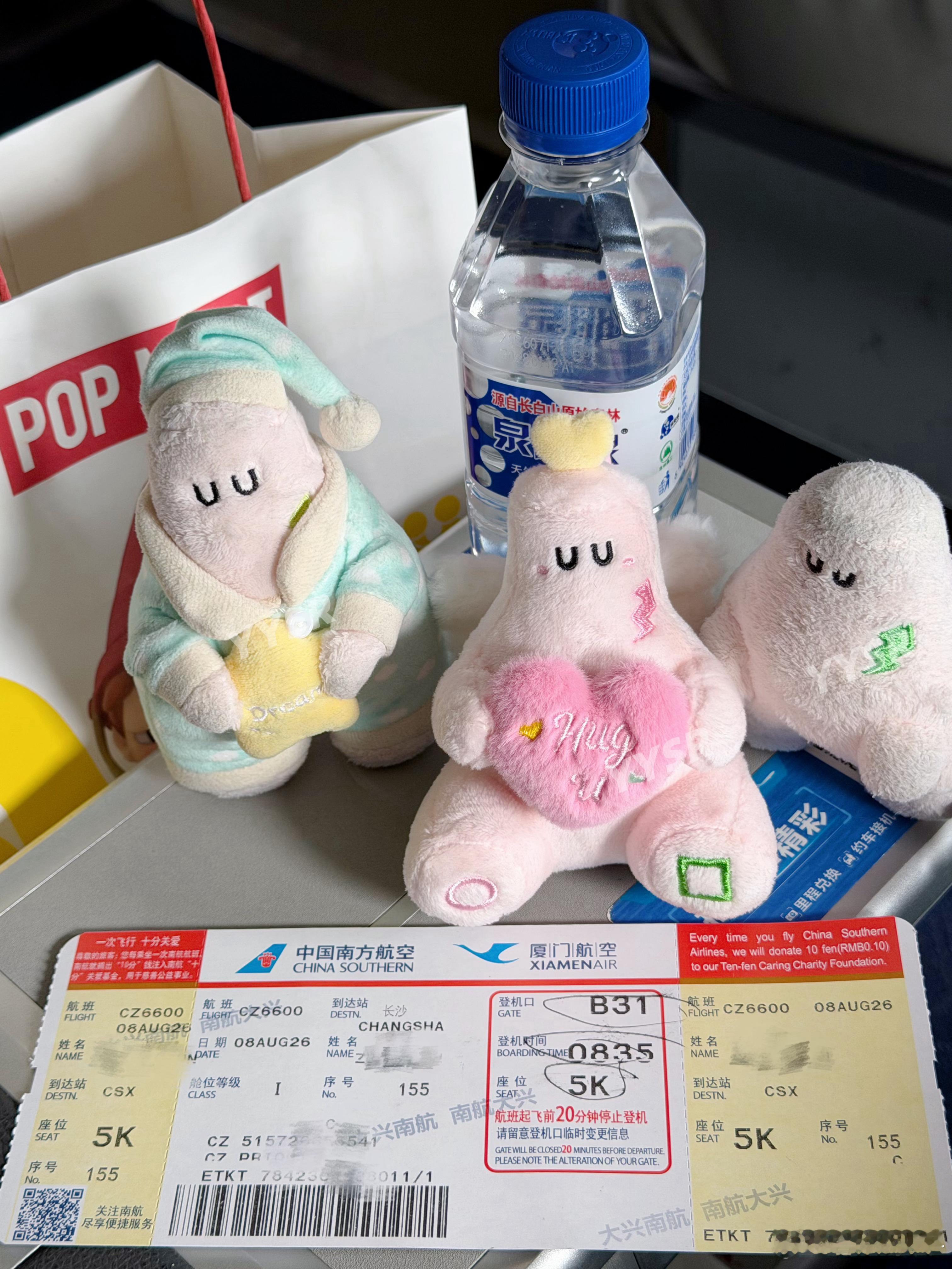 三胞胎第一次飞行 去长沙找爸爸 北京·北京大兴国际机场
