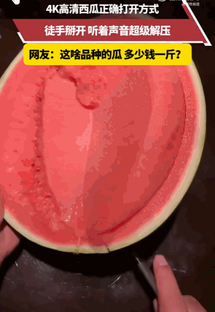 梦中情瓜！河南，一男子惊喜地发现自己买到了完美的“梦中情瓜”。这个西瓜不仅皮薄馅