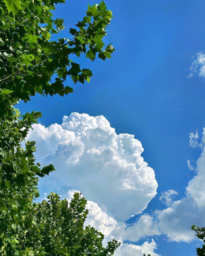 等苦尽甘来的那一天，山河星月都做贺礼。  早安~